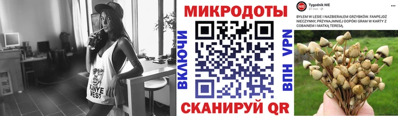 Псилоцибиновые грибы прущие грибы  Сретенск 